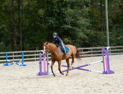 Horse Jumping Event - Middleton Equestrian Center - Charleston, SC - Heather Johnson Photo 