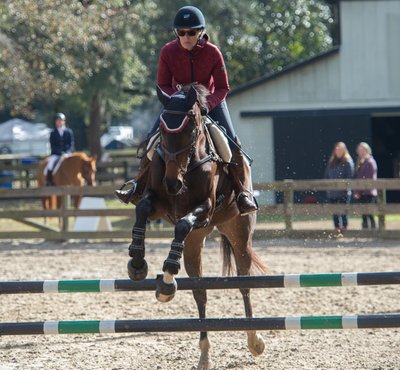 Middleton Place Jumper Series-Charleston,SC- Heather Johnson Photo 
