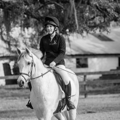Portrait of a White Arabian horse -Middleton Place - Charleston, South Carolina - Heather Johnson Photo 