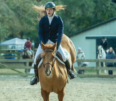 Show Horse - Middleton Equestrian Center - Charleston, SC - Heather Johnson Photo 