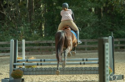Horse hoofs - Middleton Equestrian Center - Charleston, SC -Heather Johnson Photo 