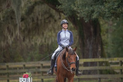 Horse Portrait - Middleton Place-Charleston, South Carolina 