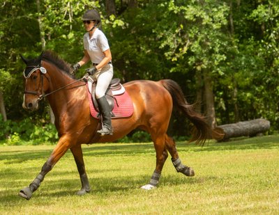 Horseportraiture-Middleton Equestrian Center - Charleston, South Carolina - Heather Johnson Photo 