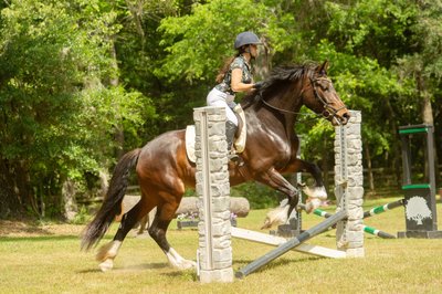 Pony Club Horse Show- Middleton Equestrian Center- Heather Johnson Photo -Charleston, South Carolina 