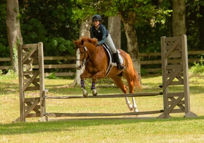 Horse and Rider show jumping - Charleston, SC - Heather Johnson Photo 