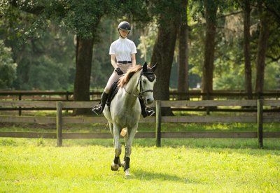 Grey Horse and Rider Portrait - Middleton Equestrian Center - Charleston, South Carolina - Heather Johnson Photo