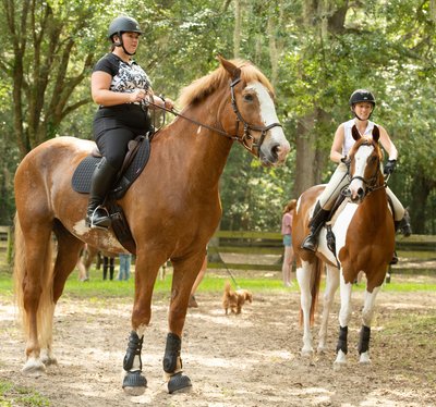 Candid Horse Show Portrait - Middleton Place Equestrian Center - Charleston, South Carolina - Heather Johnson Photo 