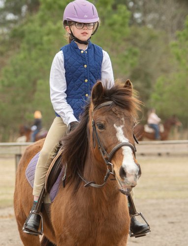 Circuit Horse Show - Wishwehadda Farm - St. George, South Carolina - Heather Johnson Photo 