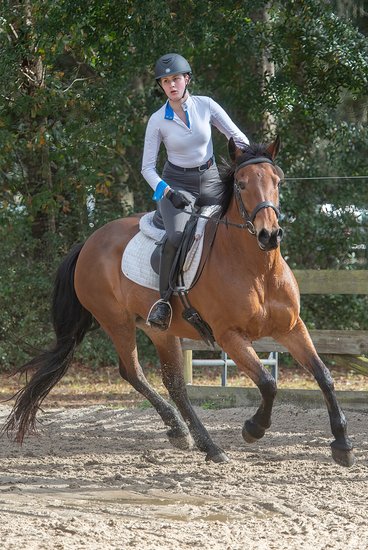Horse Cantering - Middleton Place Equestrian Center - Charleston, SC - Heather Johnson Photo 