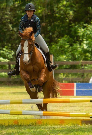 Horse and Rider Jumping Show - Middleton Place Plantation - Charleston, South Carolina - Heather Johnson Photo 