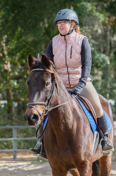 Portrait of a Horse- Middleton Equestrian Center - Charleston, SC -Heather Johnson Photo 