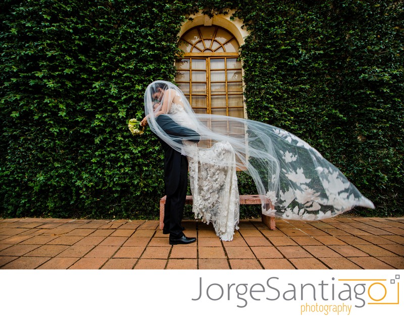 Photographers in Oaxaca – 26 best professional wedding photographers with  prices