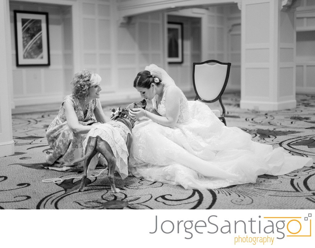 Pet Friendly Wedding Venues in Pittsburgh, PA