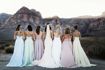 Red Rock Canyon Weddings Pictures - Bride and bridesmaids