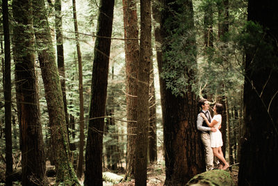 Cook Forest PA Engagement Session Photos