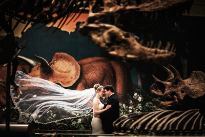 Carnegie Museum Natural History Wedding Photos.