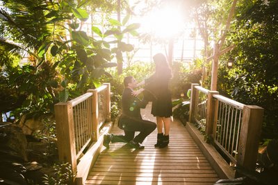 Proposal at Phipps Conservatory